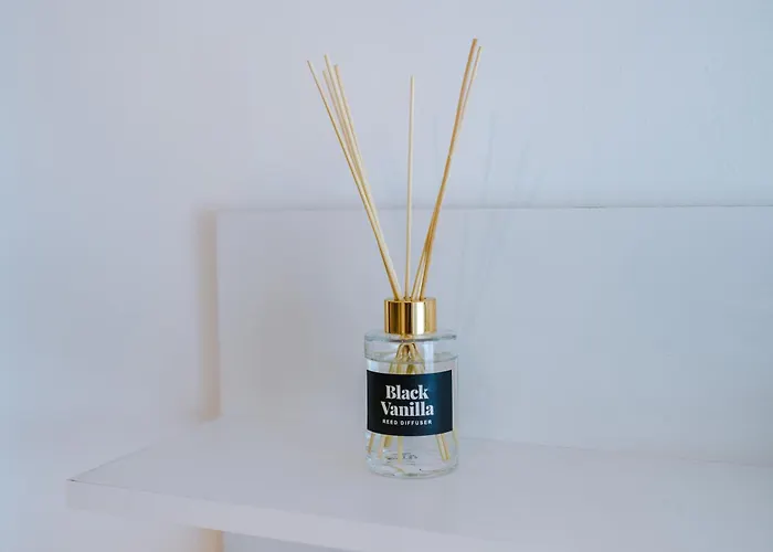 2br 2ba, Wi-fi, Kitchen, Sleeps 5 Apartment